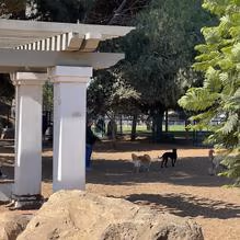 MacKenzie Park Dog Park